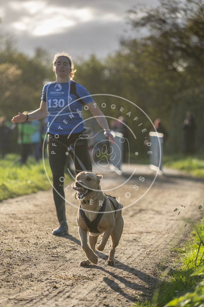 Pfotenfotografie.de_DV3A2935 | Hundefotografie, Tierfotograf, Pfotenfotografie, Fotoshooting Hund, Hunde Portrait, Hundesport, Hundeportraits, Heideshooting, Hunde, Sportfotograf, Hundefotograf, Turnierhundsport, THS, canicross - Realisiert mit Pictrs.com