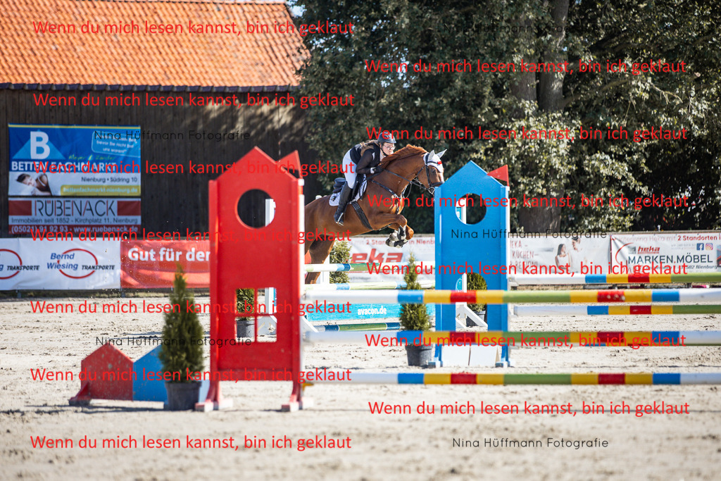 BK1A7083 | Turnierbilder Turnierfotos Nina Hüffmann Turnierfotografie Pferdefotografie Tierzeichnung Haustierzeichnung Pferdezeichnung Hundezeichnung Videograf  - Realisiert mit Pictrs.com