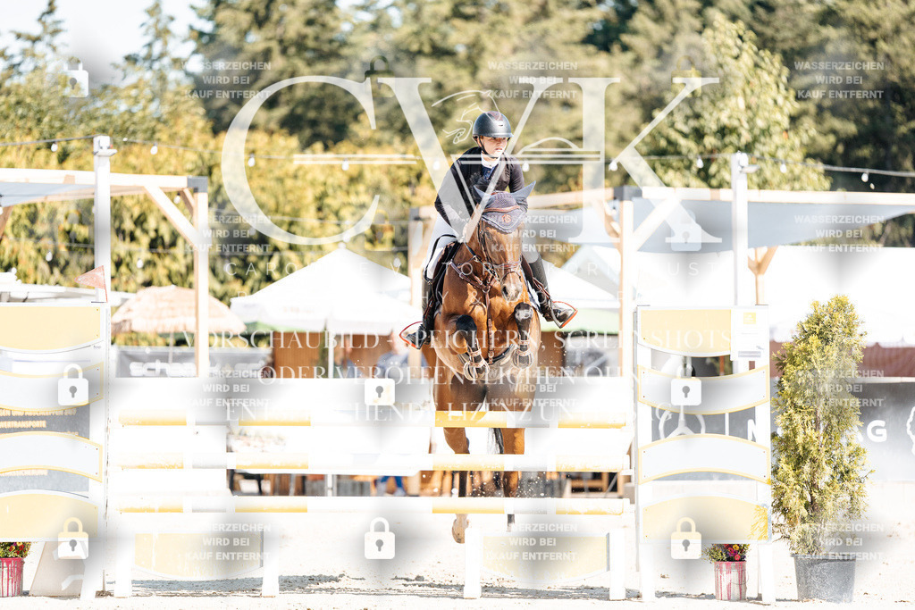 CK902697 | Turnierfotografie Pferdefotografie Trier Rheinland-Pfalz Pferdesport Reitsport Tierfotografie Sportfotografie Pferdevideo Pferdevideografie Equestrianvideography equestrianphotography  - Realisiert mit Pictrs.com