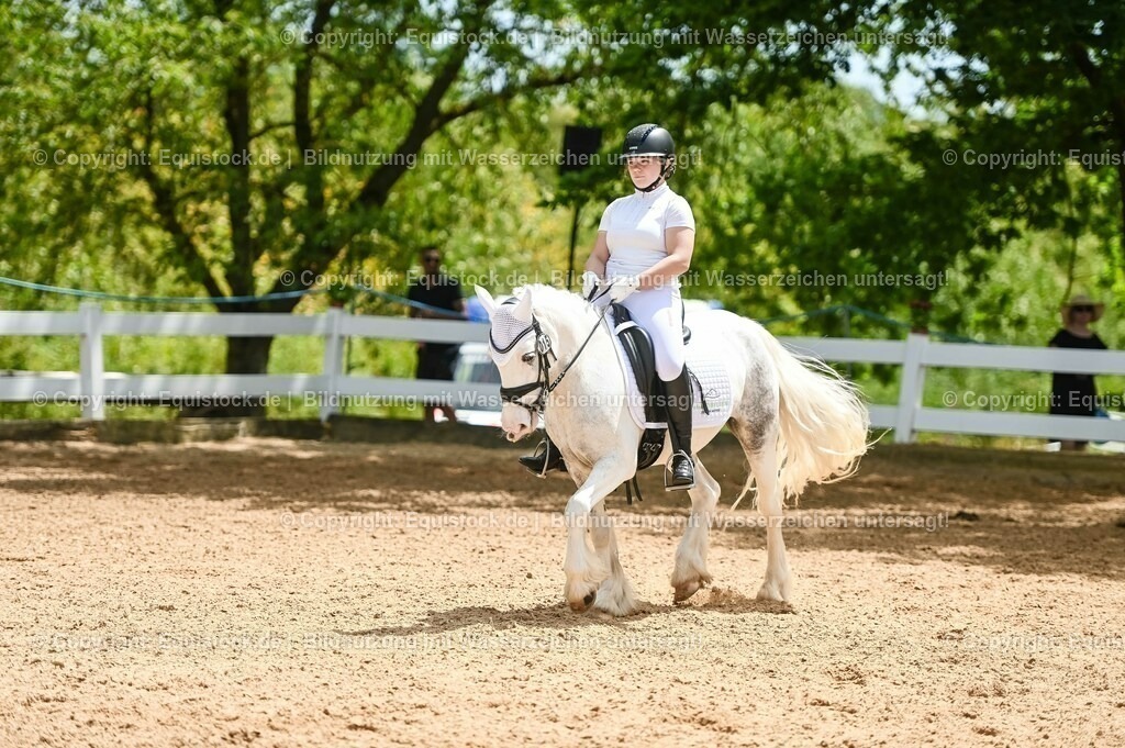 20230715_05_Dressurprüfung Kl.A++_0242 | equistock