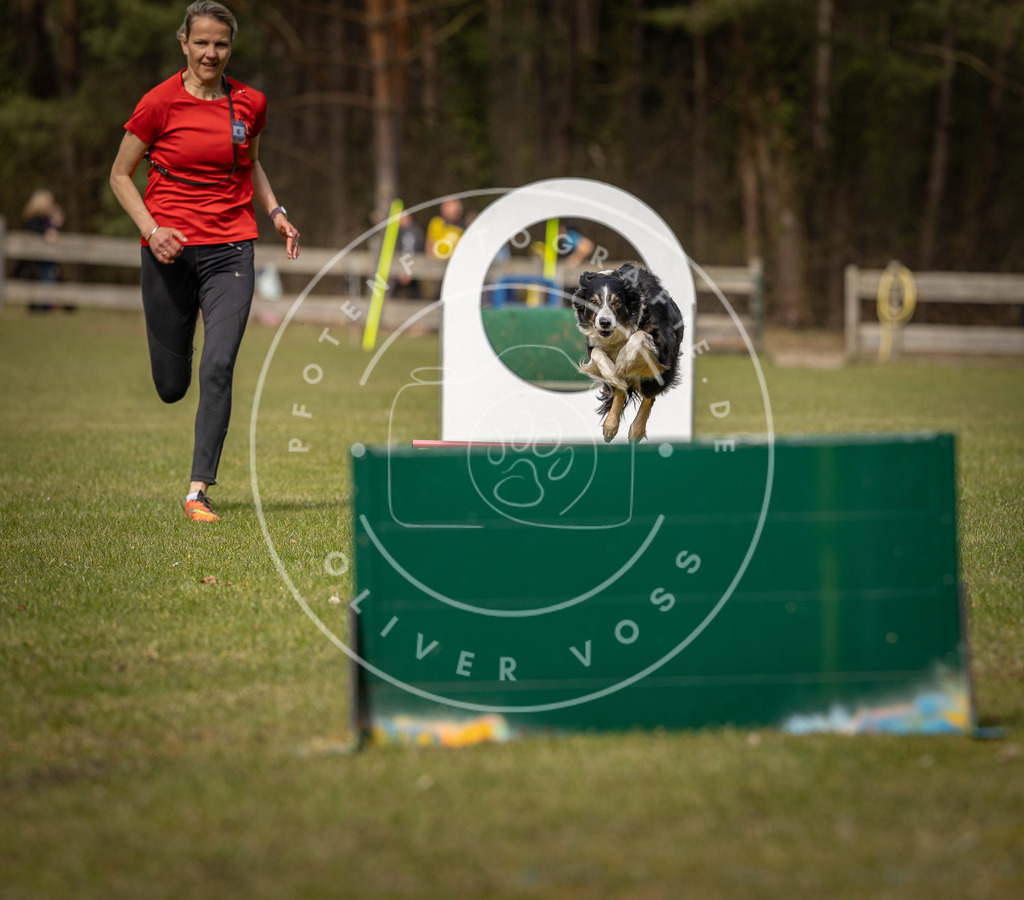Pfotenfotografie_DV3A8654 | Hundefotografie, Tierfotograf, Pfotenfotografie, Fotoshooting Hund, Hunde Portrait, Hundesport, Hundeportraits, Heideshooting, Hunde, Sportfotograf, Hundefotograf, Turnierhundsport, THS,  - Realisiert mit Pictrs.com