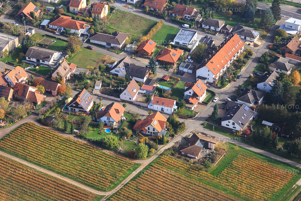 Luftbild: Südring im Ortsteil Schweigen in Schweigen-Rechtenbach im Bundesland Rheinland-Pfalz in Deutschland. Foto: IMG_123800.jpg vom 07.11.2020 durch Werner Riehm/FLY-FOTO.de