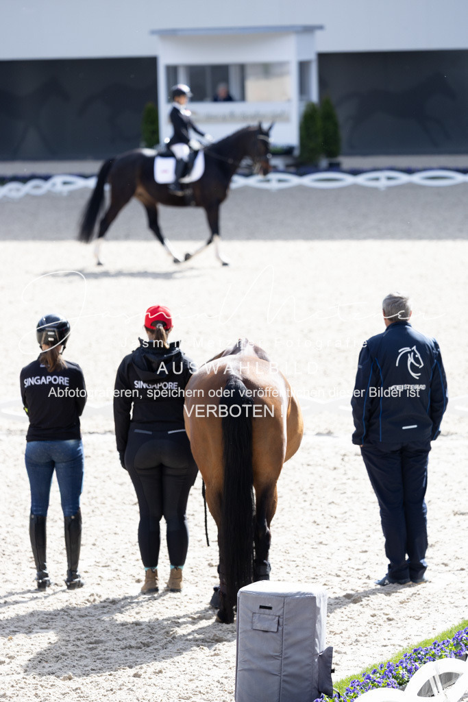 126A0071 | jasminmetznerfotografie