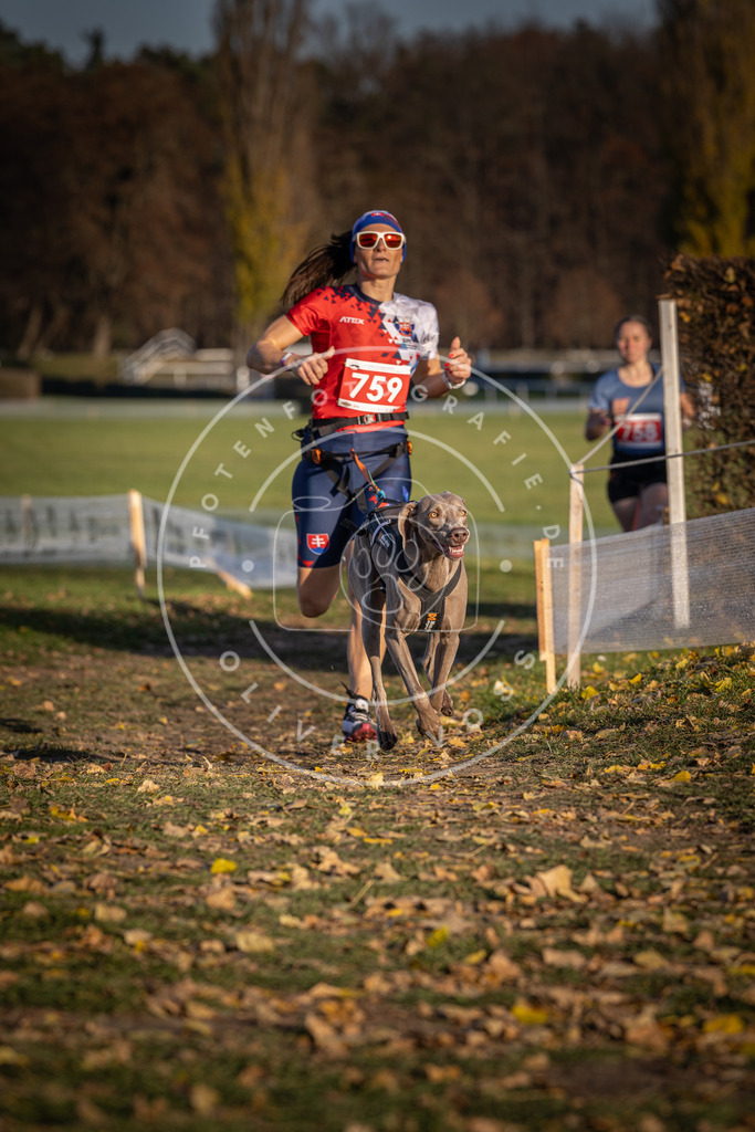 CaniXpix_DV3A2610 | Hundefotografie, Tierfotograf, Pfotenfotografie, Fotoshooting Hund, Hunde Portrait, Hundesport, Hundeportraits, Heideshooting, Hunde, Sportfotograf, Hundefotograf, Turnierhundsport, THS,  - Realisiert mit Pictrs.com