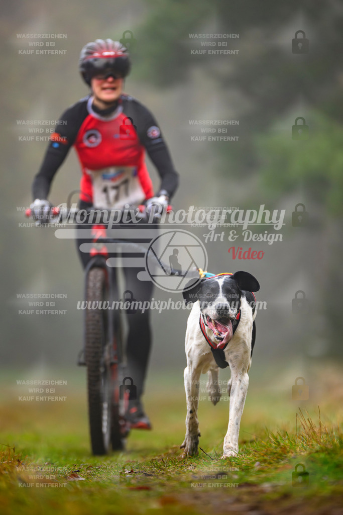 MompixPhotography_Bischwiller2025_Scooter-49 | mompixphotography