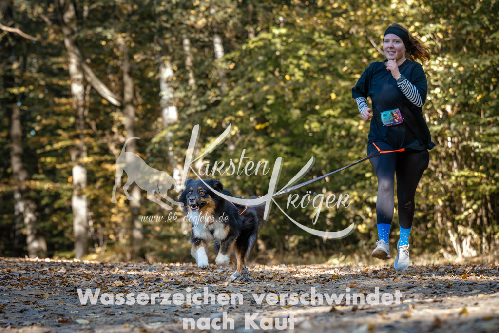 1134_ZZ92748 | kk-dogfotos
