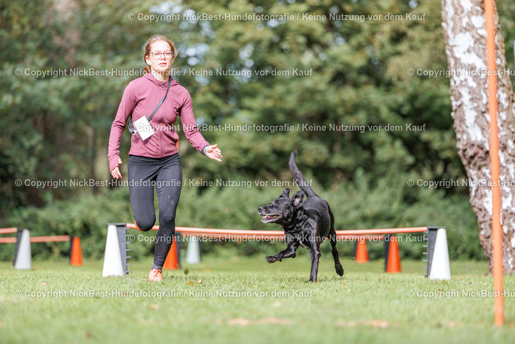 THS-HSV-Blumenthal-2026-Nickbest-Hundefotografie-2570 | Dein Hund! Dein Moment! Deine Erinnerungen! Hundefotografie in Bremen Blumenthal. Ich fange die besonderen Momente deines Vierbeiners ein – ob Indoor mit Blitzanlage oder in der freien Natur. Sicher dir dein Moment und dein Termin für eure Erinnerungen.