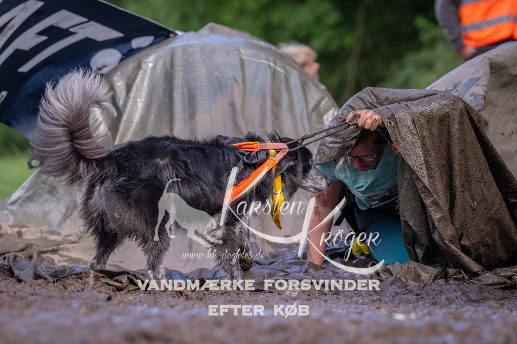 1716_ZZ91868 | kk-dogfotos