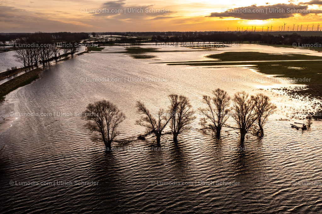 10049-51819 - Hochwasser im Großen Bruch | Stockfoto und Bilderpool mit Bildmaterial aus Deutschland, dem Harz, Halberstadt, Quedlinburg, Wernigerode und weltweit. Qualitativ hochwertige und professionelle Fotos anschauen und kaufen. - Realisiert mit Pictrs.com