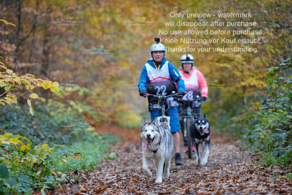 Scooter_So-93 | stephaniefillaphotographie - Realisiert mit Pictrs.com