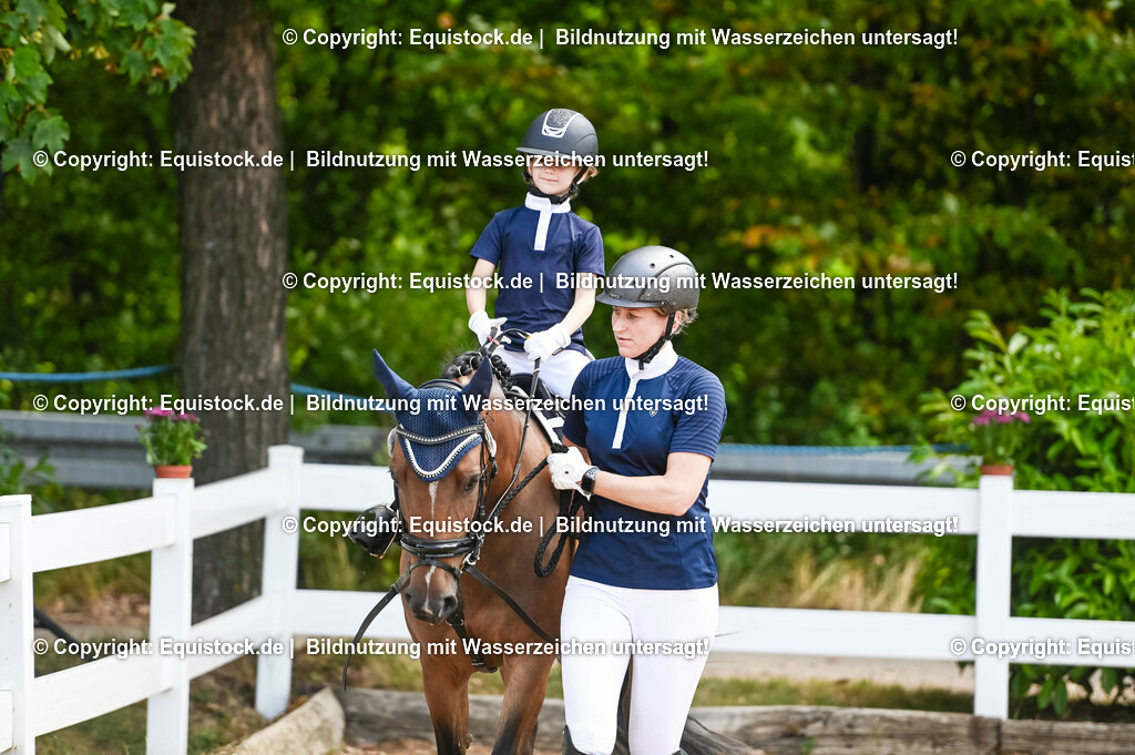 20230716_11_Führzügel-WB_0197 | equistock
