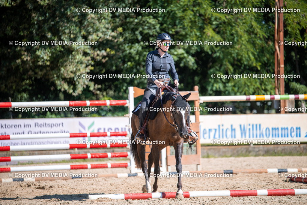 ZS1_0854 | dv-media-shop - Realisiert mit Pictrs.com