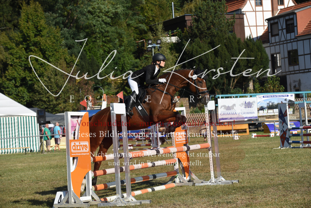 DSC_5295 | Pferde- und Turnierfotografie in Westsachsen. Pferdeportraits, Auftragszeichnungen und intuitive Kunst.