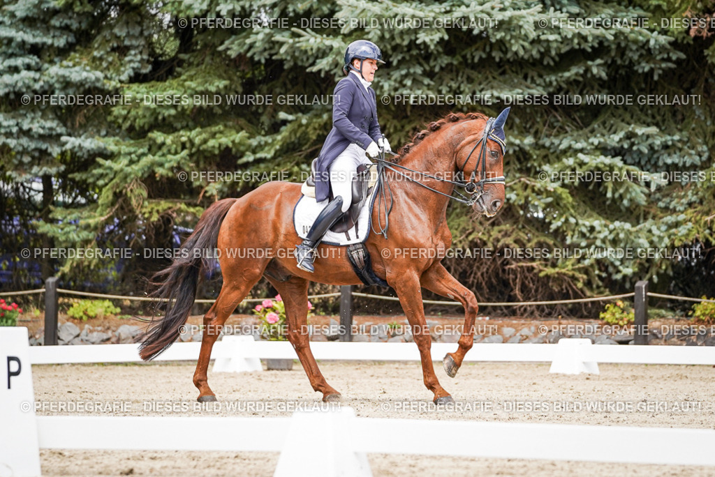 DSC05920 | Pferdegrafie