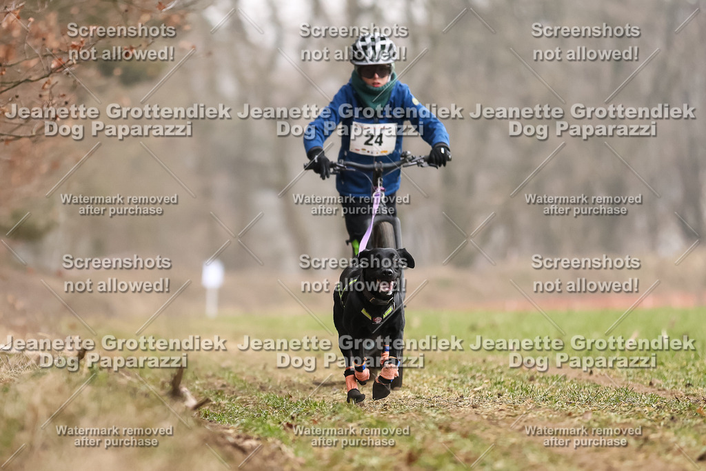 Dog Paparazzi - Plate 2026-81 | Dog Paparazzi Jeanette Grottendiek Fotografie & Videografie - Realisiert mit Pictrs.com