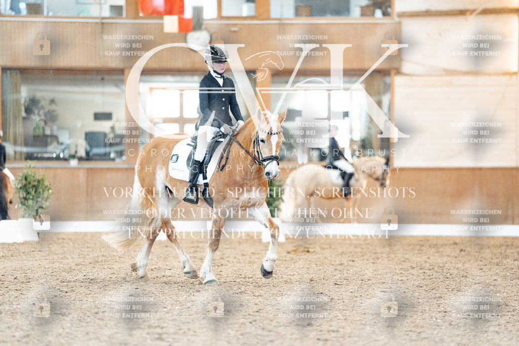 CK907363 | Turnierfotografie Pferdefotografie Trier Rheinland-Pfalz Pferdesport Reitsport Tierfotografie Sportfotografie Pferdevideo Pferdevideografie Equestrianvideography equestrianphotography  - Realisiert mit Pictrs.com