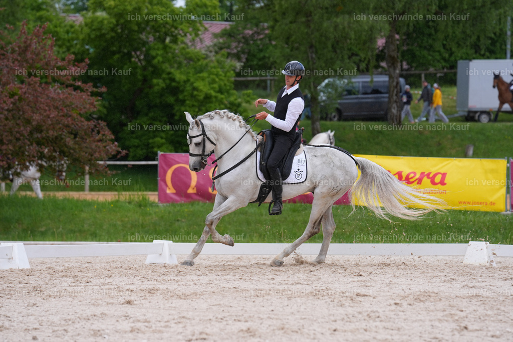 PI26_DR_761_StoibphotographySIN07628.jpg | working equitationturnier fotograf videograf stoibphotography marixx film working equitation deutschland reitsport turnierfotografie eventfotografie equestrian events