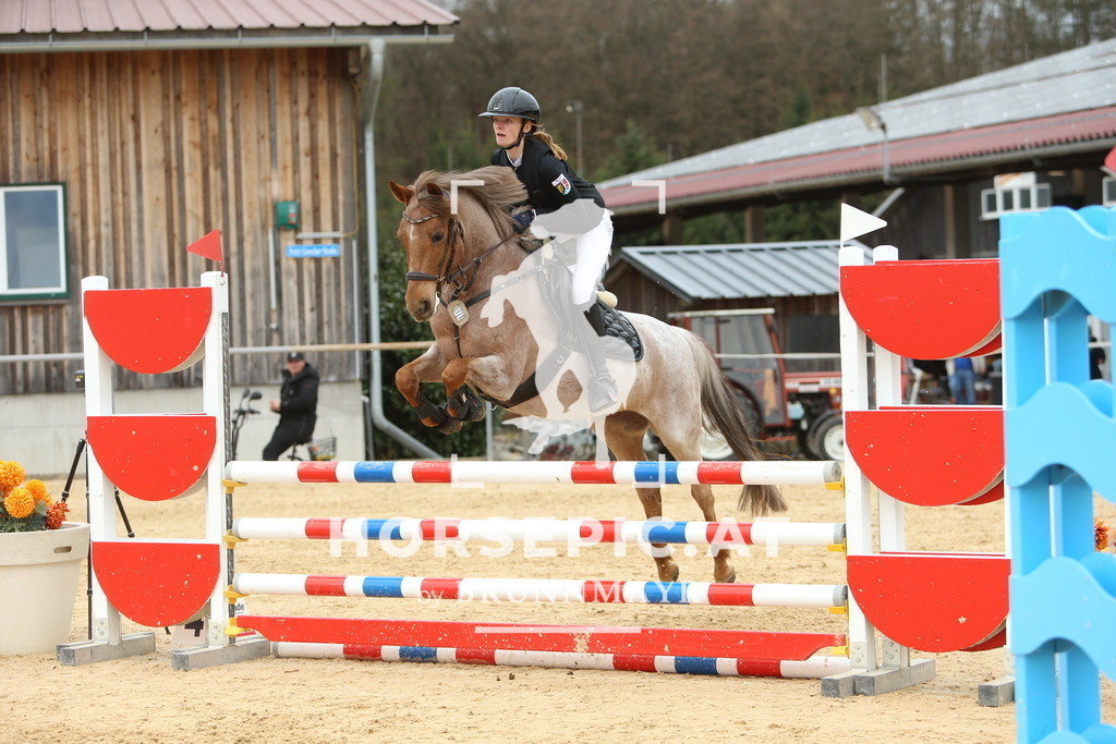 DL2Q2610 | Willkommen bei Brunnmayr - Design & Fotografie – Ihrem Spezialisten für Reitturniere und Pferdeveranstaltungen in Oberösterreich, Salzburg und Bayern! Seit über 17 Jahren sind wir leidenschaftlich dabei.