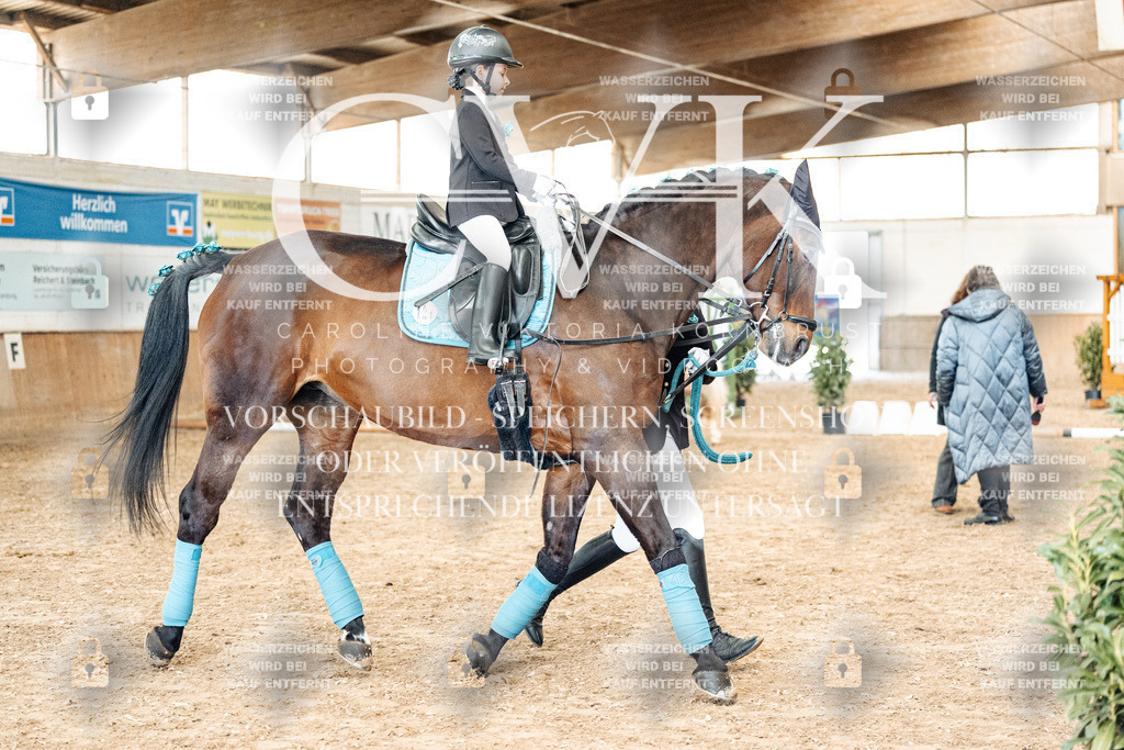 CK905824 | Turnierfotografie Pferdefotografie Trier Rheinland-Pfalz Pferdesport Reitsport Tierfotografie Sportfotografie Pferdevideo Pferdevideografie Equestrianvideography equestrianphotography  - Realisiert mit Pictrs.com