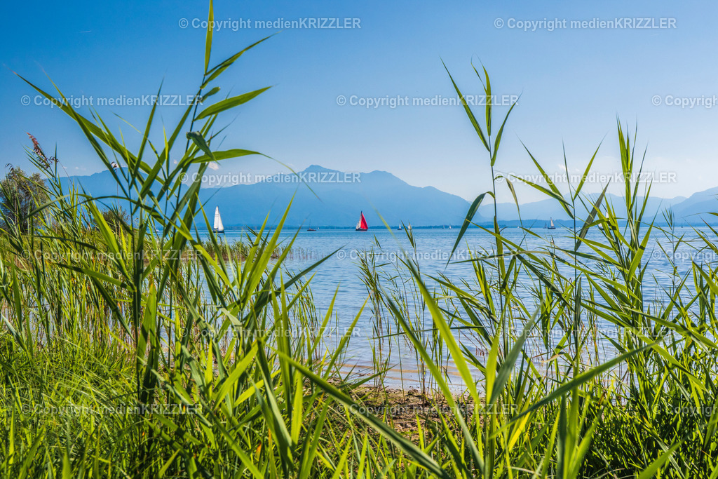 _07A9192 Kopie | medienkrizzler - Realisiert mit Pictrs.com