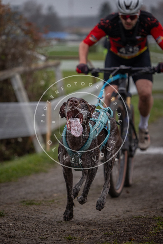 CaniXpix_0L8A1003 | Hundefotografie, Tierfotograf, Pfotenfotografie, Fotoshooting Hund, Hunde Portrait, Hundesport, Hundeportraits, Heideshooting, Hunde, Sportfotograf, Hundefotograf, Turnierhundsport, THS,  - Realisiert mit Pictrs.com