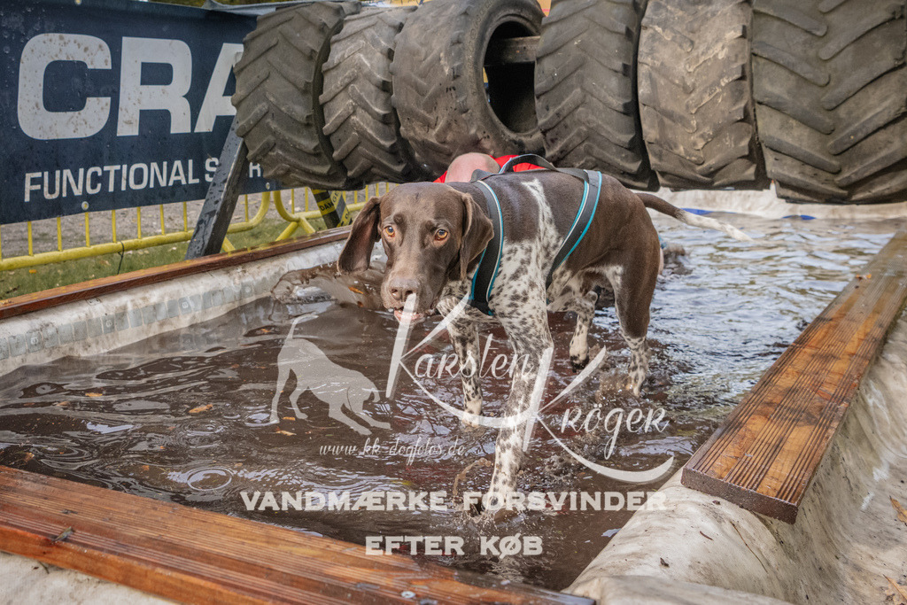 1443_ZZ94931 | kk-dogfotos