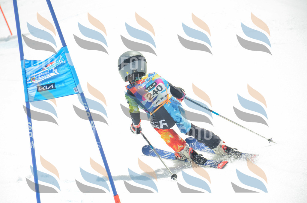 _ELE7435 | holidayphoto