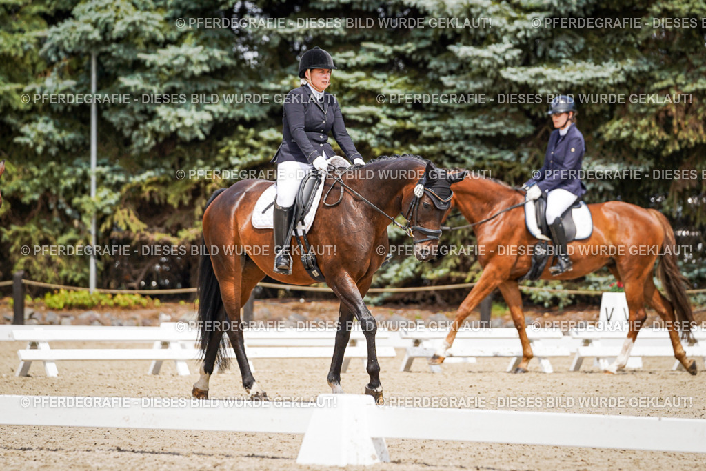 DSC02043 | Pferdegrafie