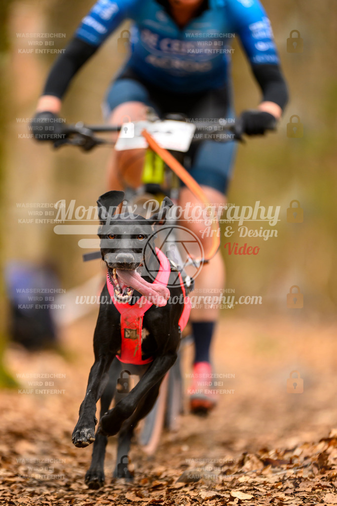 MompixPhotography_Habay2025_SA_Bike-140 | PayLife