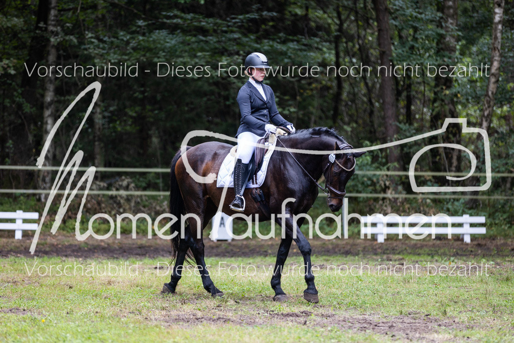 HB-Dressur-WB-023 | MomenTaufnahmen Pferdesportfotos