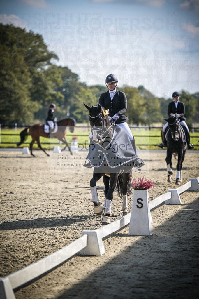 DOS_0064 | Entdecke hochwertige Reitturnierfotos von Foto Oger. Professionell, emotional und authentisch – jetzt Lieblingsmomente im Shop bestellen.Deutschlandweite Turnierfotografie. - Realisiert mit Pictrs.com