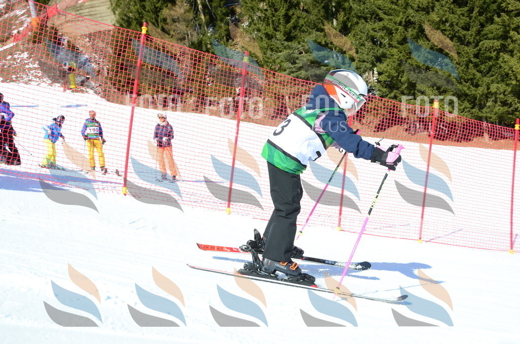 C5514 | holidayphoto