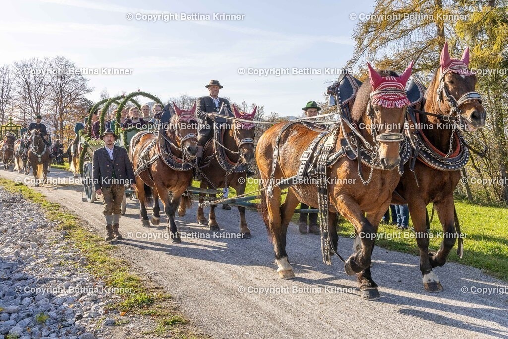 LBT24-1589 | foto-bettina-krinner - Realisiert mit Pictrs.com