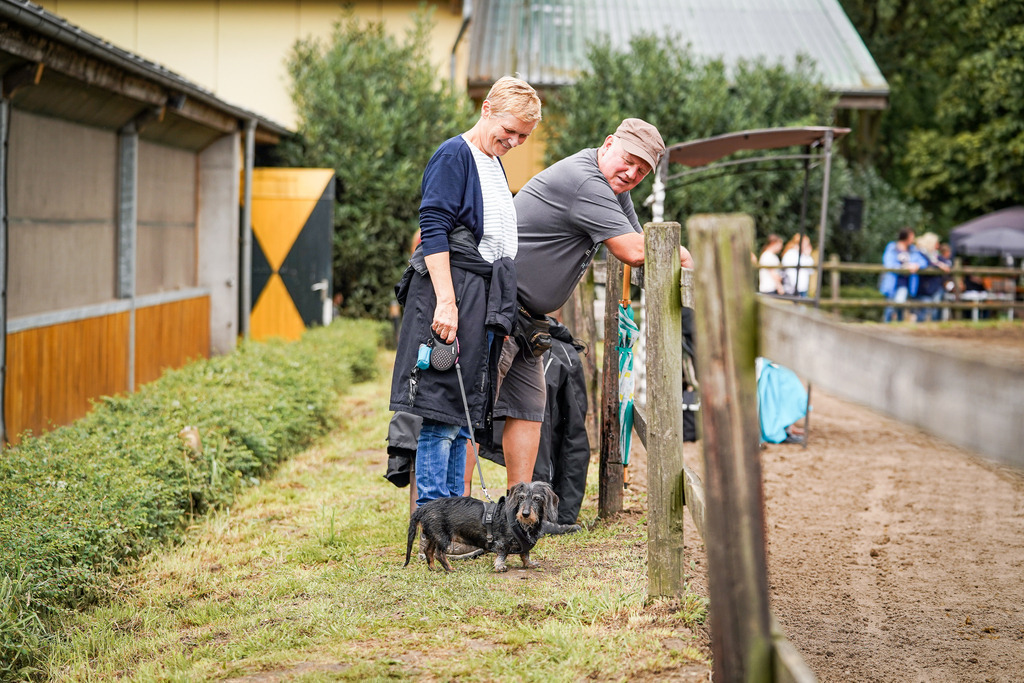 DSC06283 | Pferdegrafie