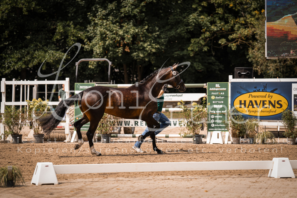 2. Fr00104 | Leoni Ertmer Photography - Realisiert mit Pictrs.com