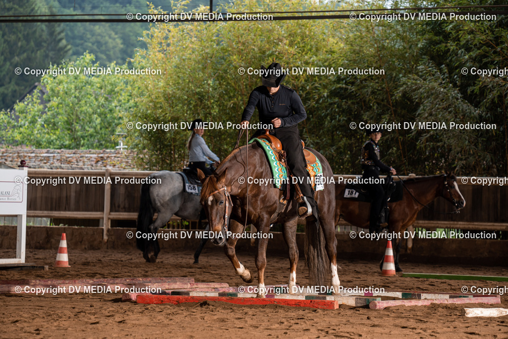 Erbach Tag 3-135 | dv-media-shop - Realisiert mit Pictrs.com