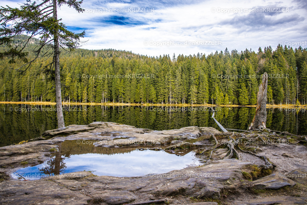 _J3A9078 | medienkrizzler - Realisiert mit Pictrs.com