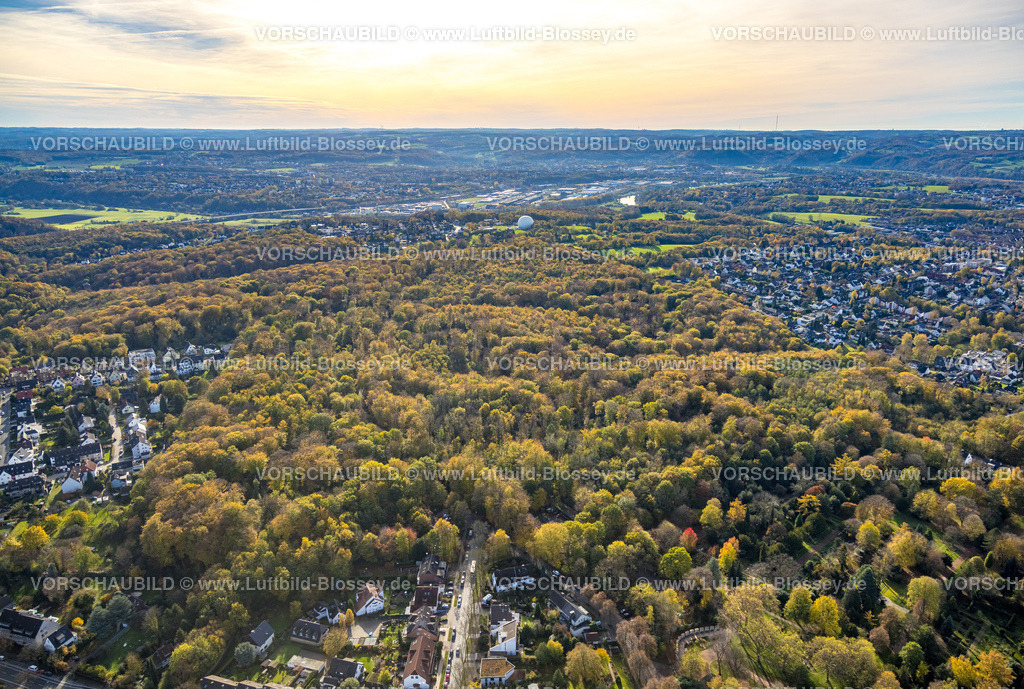 Bochum221100695 | Luftbild, Waldgebiet Weitmarer Holz, Herbstwald, Sternwarte Bochum im Hintergrund (weiße Kugel), Weitmar-Mark, Bochum, Ruhrgebiet, Nordrhein-Westfalen, Deutschland