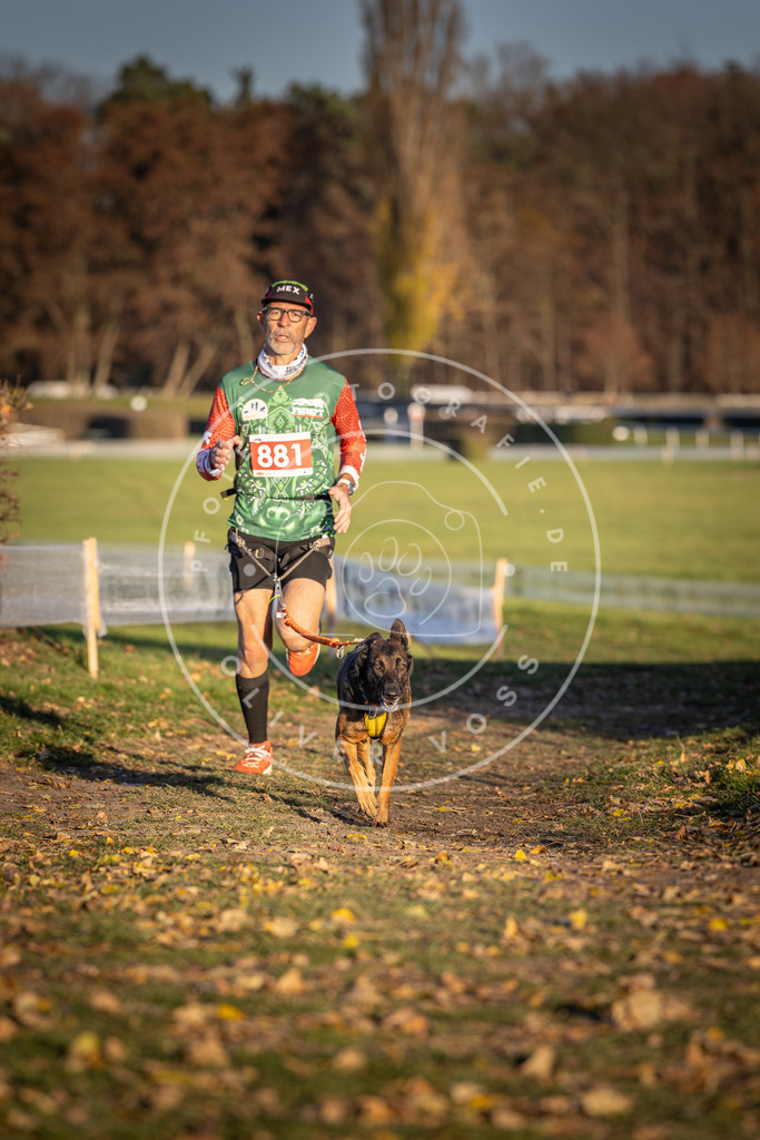 CaniXpix_DV3A4324 | Hundefotografie, Tierfotograf, Pfotenfotografie, Fotoshooting Hund, Hunde Portrait, Hundesport, Hundeportraits, Heideshooting, Hunde, Sportfotograf, Hundefotograf, Turnierhundsport, THS,  - Realisiert mit Pictrs.com
