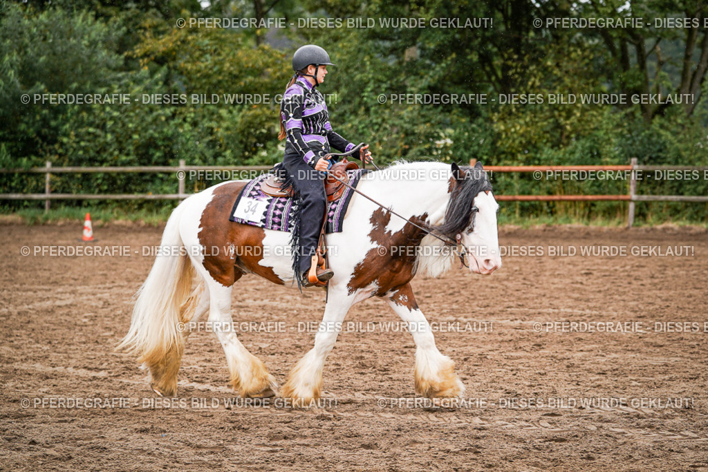 DSC05192 | Pferdegrafie