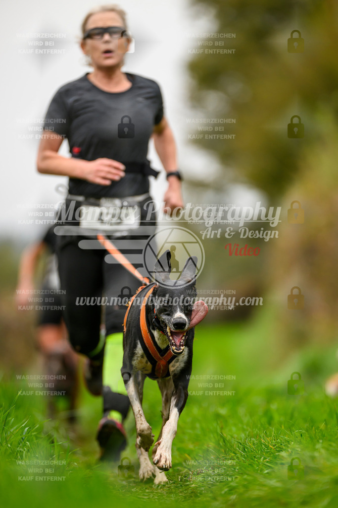 MompixPhotography_20TSB_E8_Run-61 | PayLife