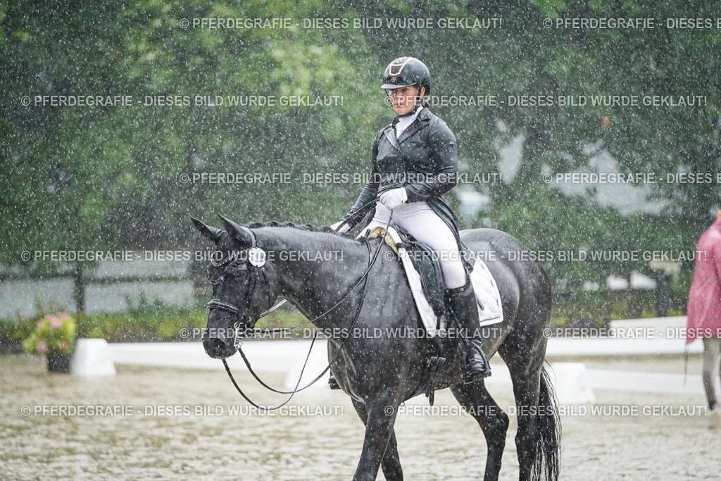 DSC08379 | Pferdegrafie