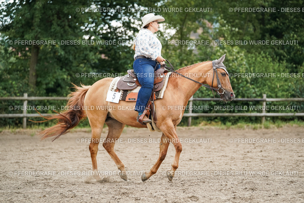 DSC04029 | Pferdegrafie