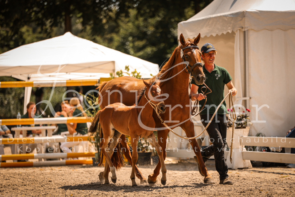 03.DoAB00076 | Leoni Ertmer Photography - Realisiert mit Pictrs.com