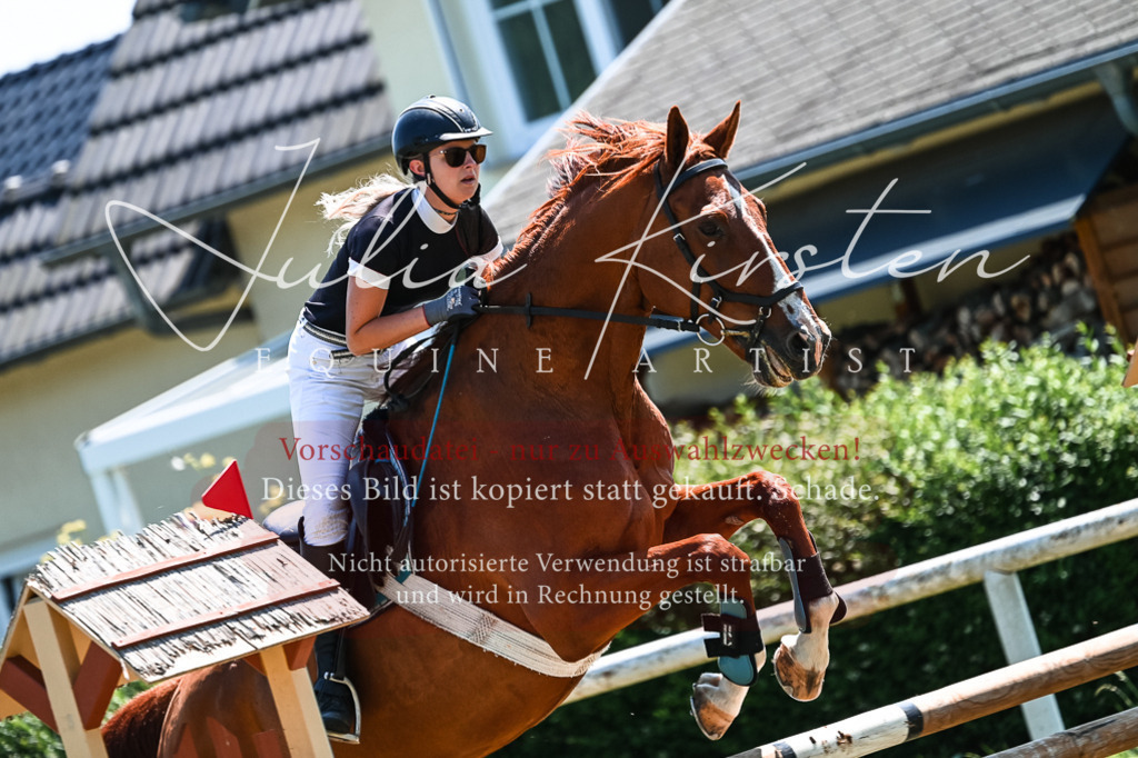 DSC_0489 | Pferde- und Turnierfotografie in Westsachsen. Pferdeportraits, Auftragszeichnungen und intuitive Kunst.