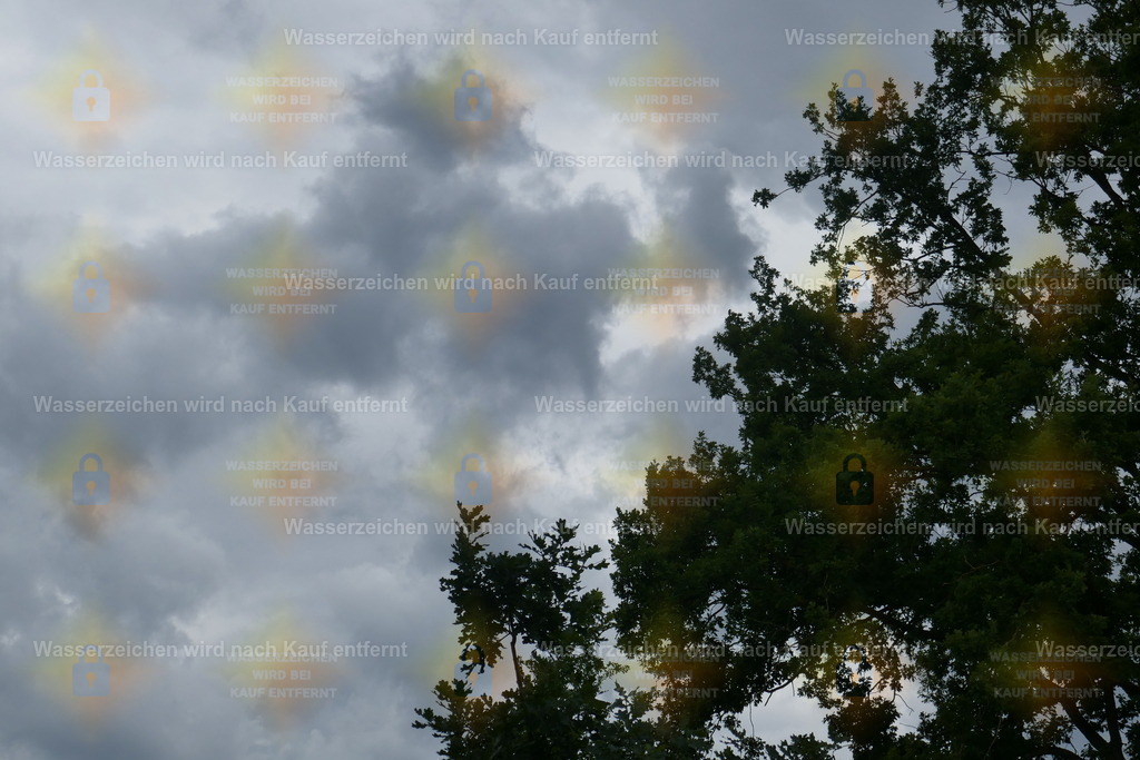 P1100869 | Fotoseite Wolkenblende - Das Hobby fotografieren begleitet mich schon  viele  Jahre. Auf den nächsten Seiten zeige ich ein paar Schnappschüsse der letzten Jahre und es kommen immer neue hinzu. Schau einfach mal rein. - Realisiert mit Pictrs.com