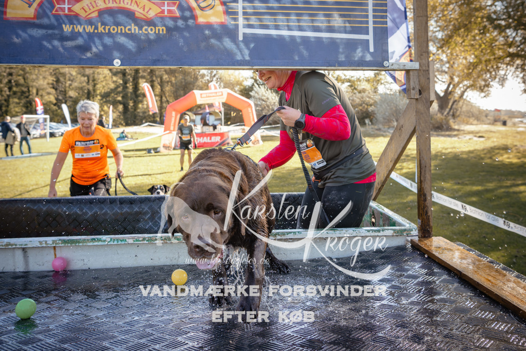 1221_ZZ95761 | kk-dogfotos