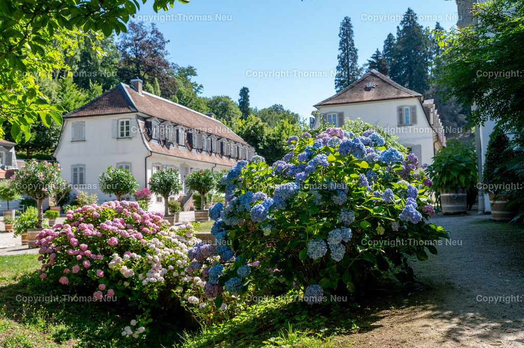 DSC_9288 | Der Staatspark Fürstenlager in Bensheim Auerbach, an der hessischen Bergstraße- ist ein wunderschöner Landschaftspark nach englischen Vorbild. Es war die Sommerresidenz der Darmstädter Fürstenfamilie die hier das "einfache Landleben" genossen. Zu jeder Jahreszeit kann man das Fürstenlager als Ausflugsziel empfehlen. Im Herrenhaus ist eine Gastronomie untergebracht. Im Sommer findet auf der Bühne vor der großen Wiese ein Opern-Air statt, 