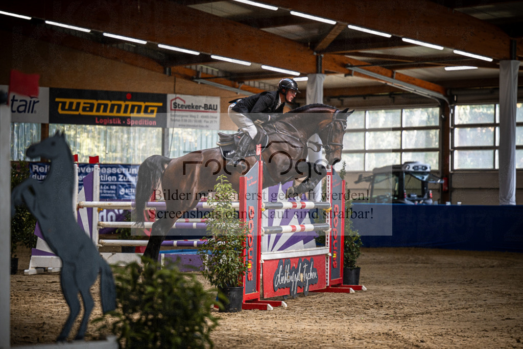 DOS_0189 | Entdecke hochwertige Reitturnierfotos von Foto Oger. Professionell, emotional und authentisch – jetzt Lieblingsmomente im Shop bestellen.Deutschlandweite Turnierfotografie. - Realisiert mit Pictrs.com