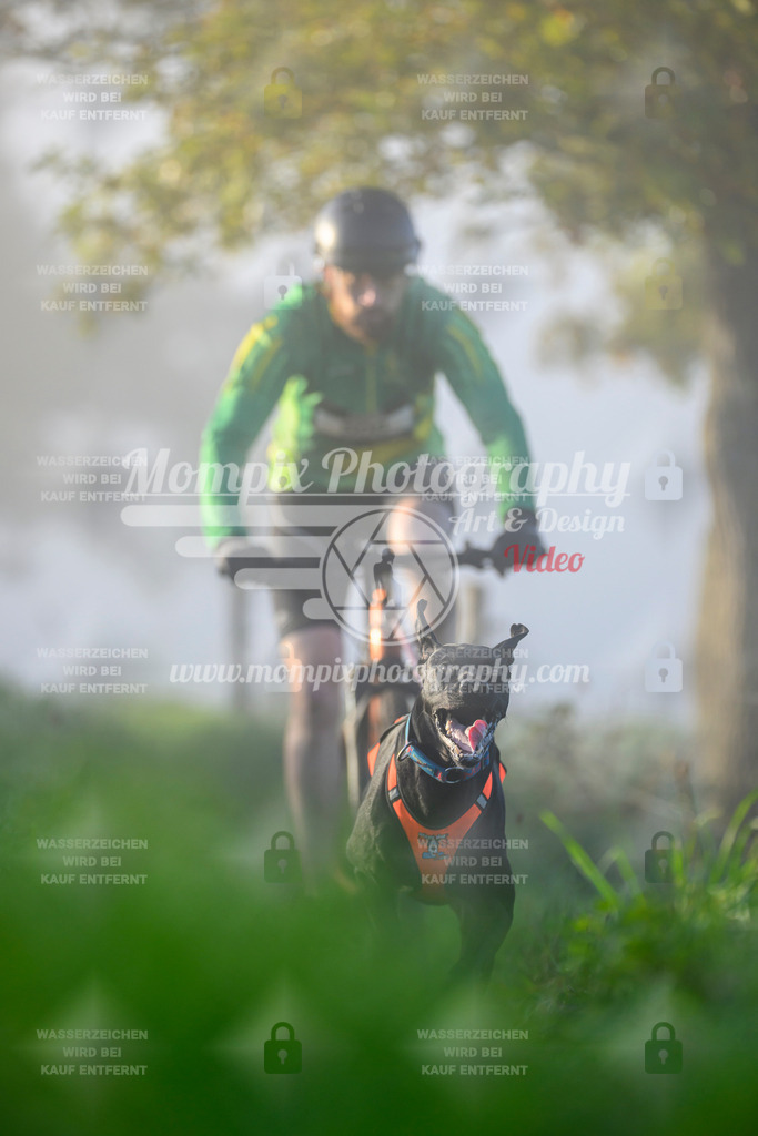 MompixPhotography_20TSB_E3_Bike-48 | PayLife